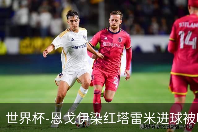 世界杯-恩戈伊染红塔雷米进球被吹 10人比利时0-0伊朗